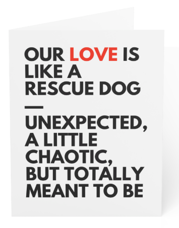 Blank Greeting Card - Dog saying