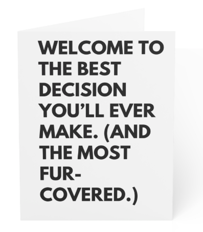 Blank Greeting Card - Dog saying