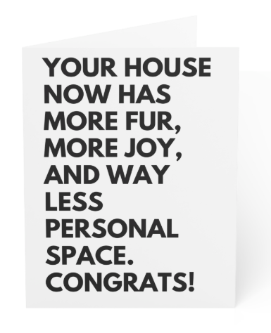 Blank Greeting Card - Dog saying